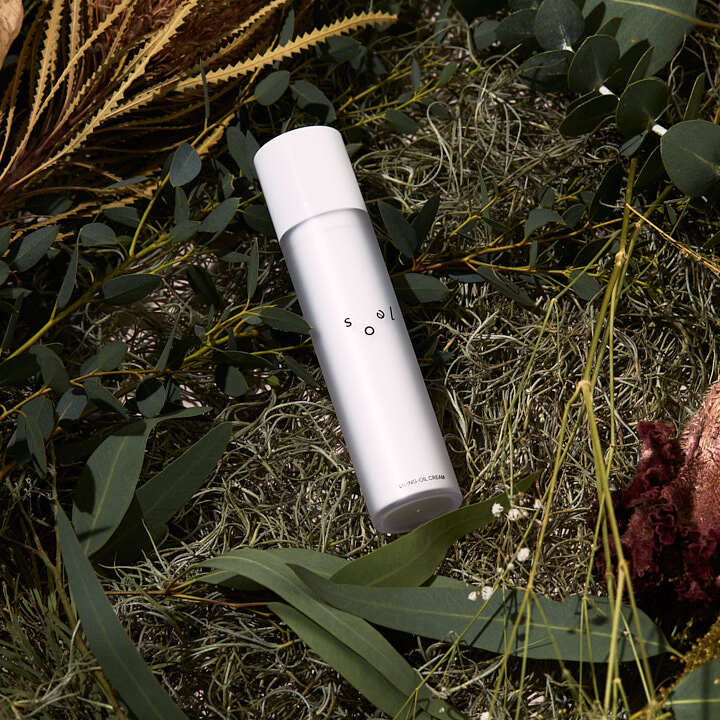 soel LIVING-OIL CREAM クリーム 50g 3本 soel ソエル LIVING-OIL CREAM クリーム